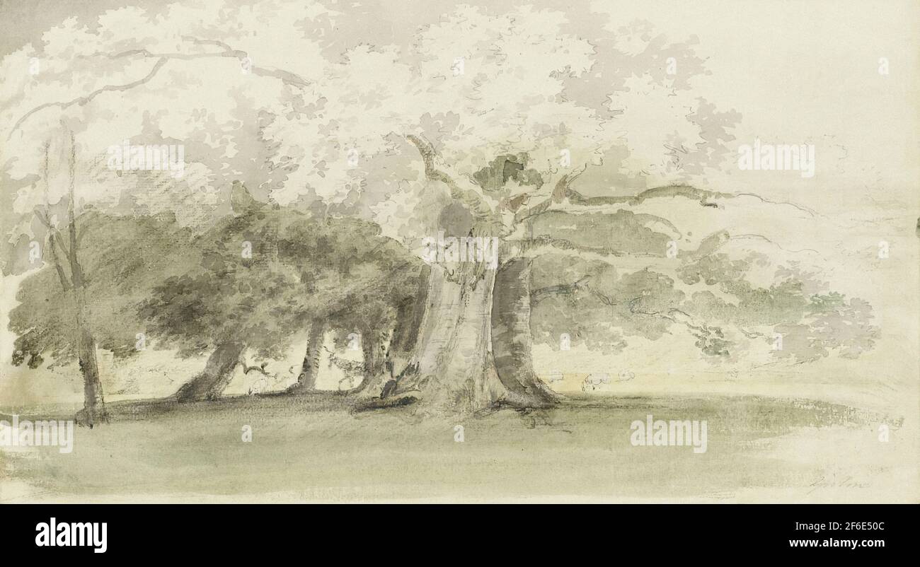 Thomas Girtin - Bäume Park 1800 Stockfoto