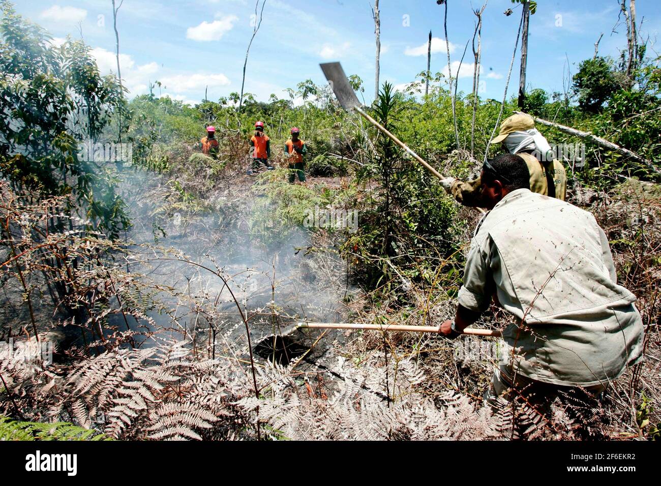 prado, bahia / brasilien - 8. dezember 2009: Brigade-Mitglieder bekämpfen Waldbrände im Urwald des Discovery National Park, in der Gemeinde PR Stockfoto