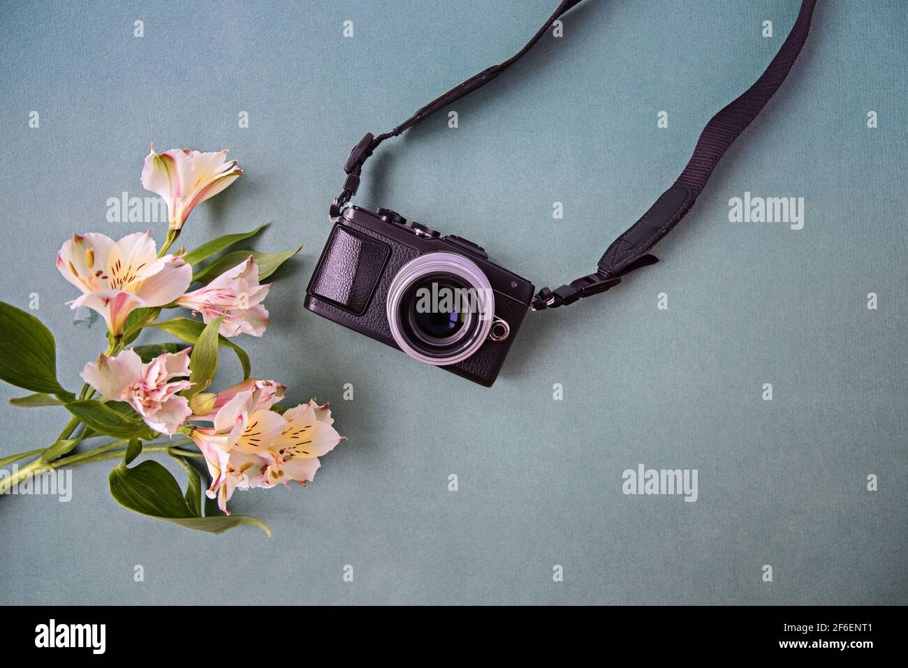 Retro-Fotokamera auf einem Papierhintergrund in der Nähe eines Astes von Alstroemeria-Blumen. Stockfoto