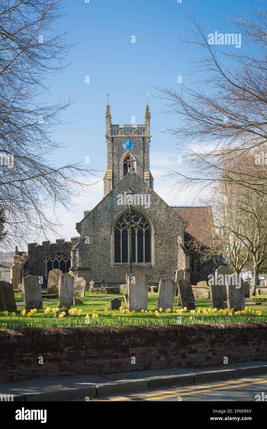 Traditionelle englische Kirche, Blick im Frühling auf die Kirche und den Kirchhof der St. Andrew's Parish Church in der historischen Stadt Halstead in Essex, Großbritannien. Stockfoto
