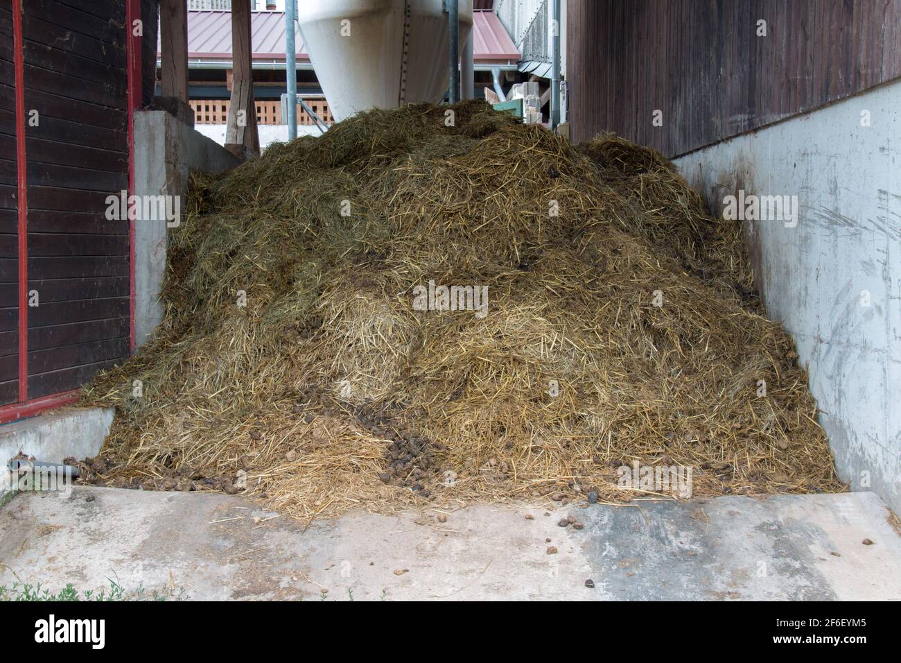 Misthaufen in einer Farm Stockfoto