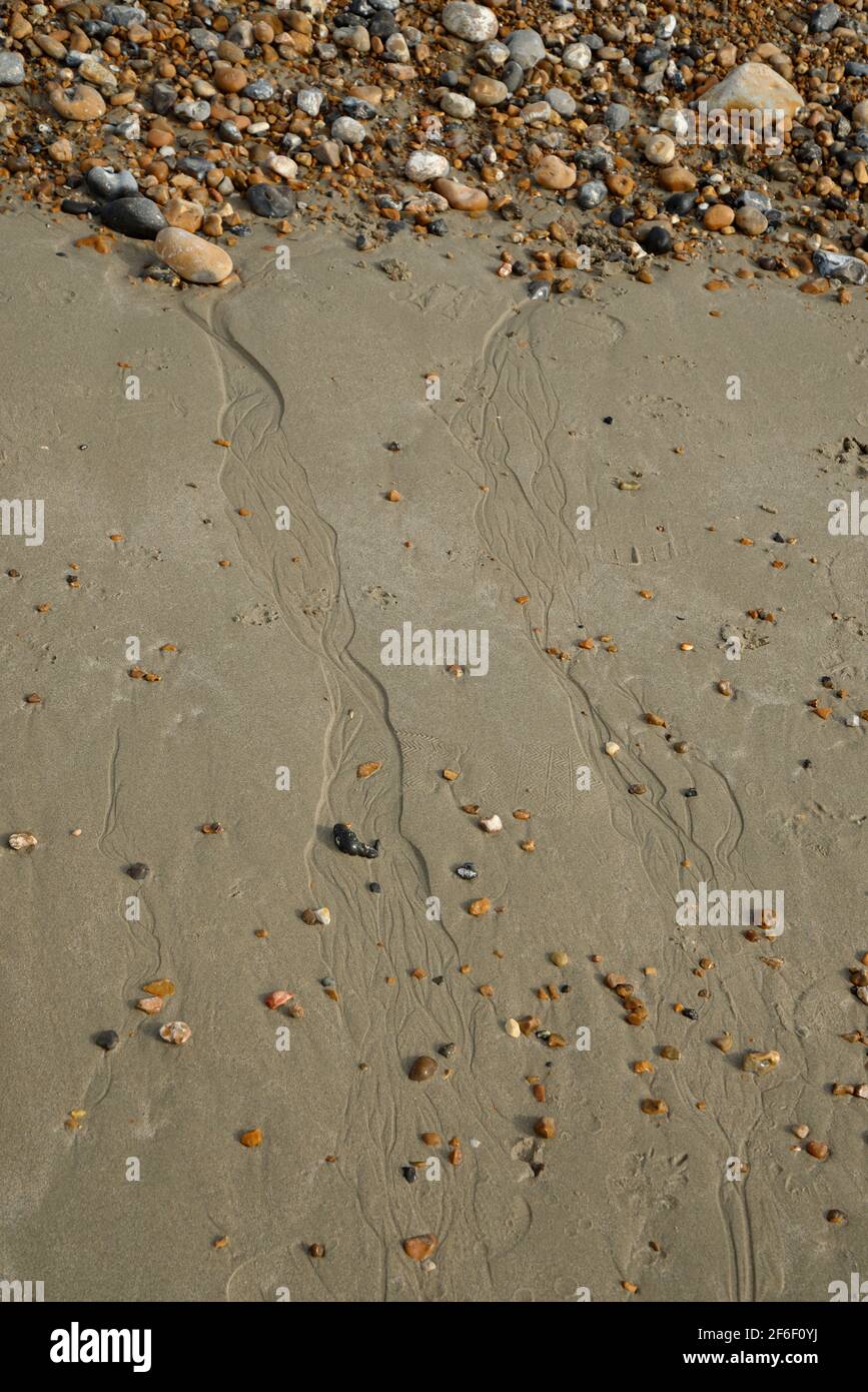 Eine sandige Küste, wo Sand auf Kiesstrand trifft. Eine sich zurückziehende Flut hat kleine Flüsse im Sand verursacht, während das Wasser über den Sand rieselt. Stockfoto