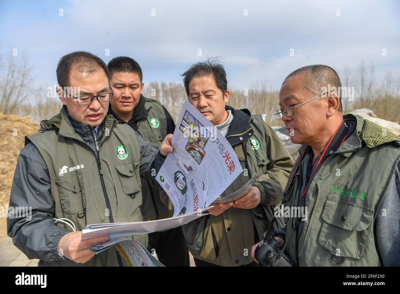 (210331) -- BAICHENG, 31. März 2021 (Xinhua) -- Mitglieder des Zhenlai-Vogelschutzteams der China Wildlife Conservation Association bereiten Werbematerial zum Vogelschutz im Bezirk Zhenlai, Stadt Baicheng, nordöstlich der Provinz Jilin, vor, 31. März 2021. Eine Gruppe von Menschen gehen oft langsam und sprechen mit leiser Stimme am Rande des Feuchtgebiets im Bezirk Zhenlai, wenn das Wetter sich erwärmt. Manchmal nehmen sie ein Fernglas auf, um nach draußen zu schauen, und manchmal beugen sie ihren Kopf, um die geographischen Koordinaten auf ihren Mobiltelefonen aufzuzeichnen. Sie sind Mitglieder des Vogelschutzteams Zhenlai von Th Stockfoto