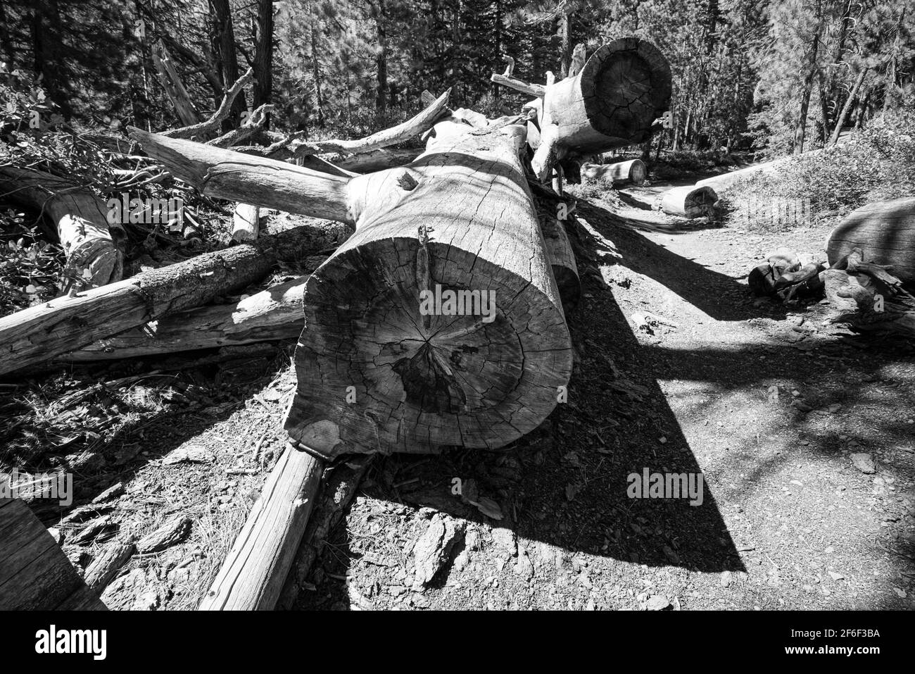 Mammoth Lakes und High Desert California Stockfoto