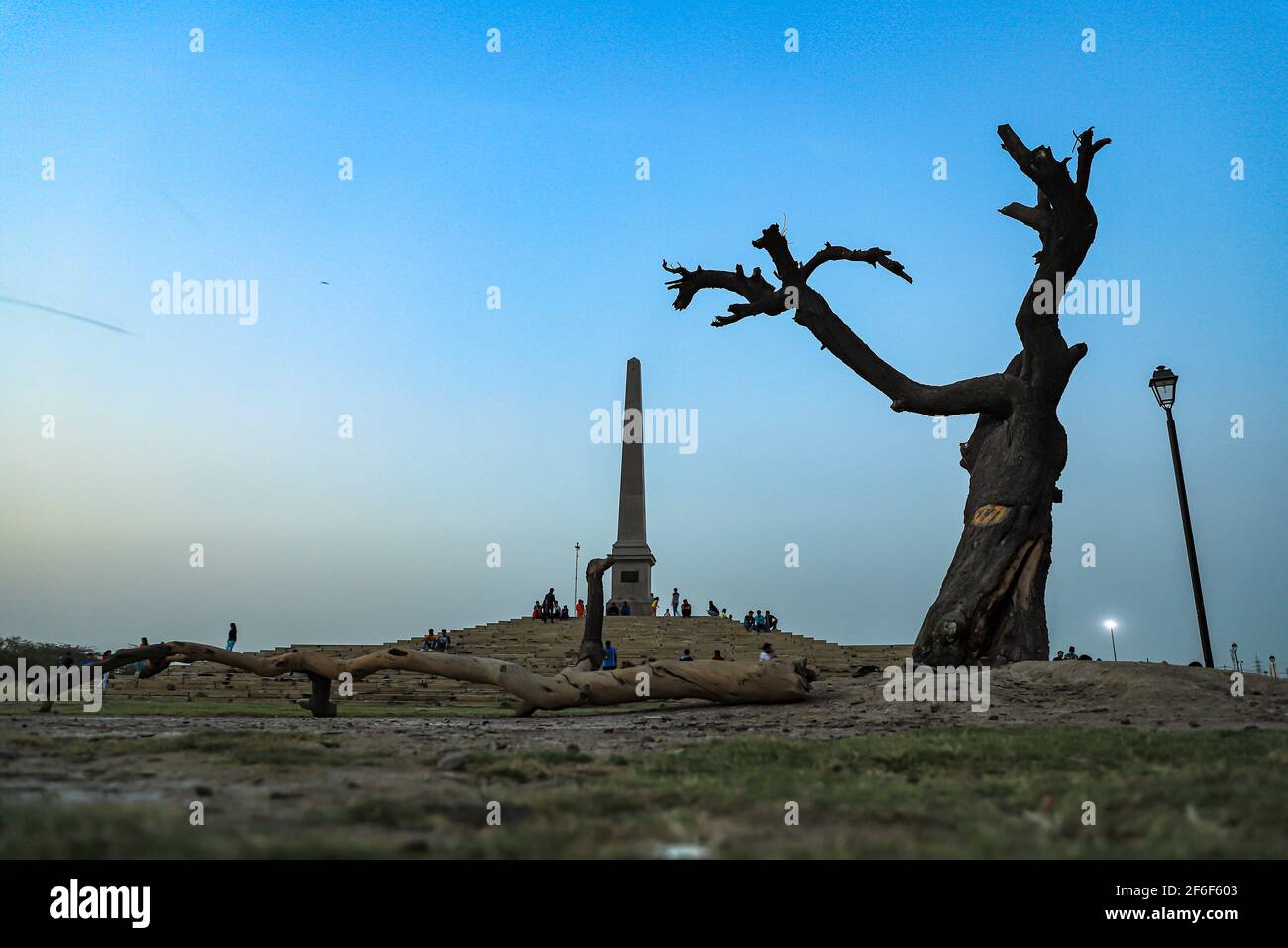 Ein alter Baum im Krönungspark, delhi. Stockfoto