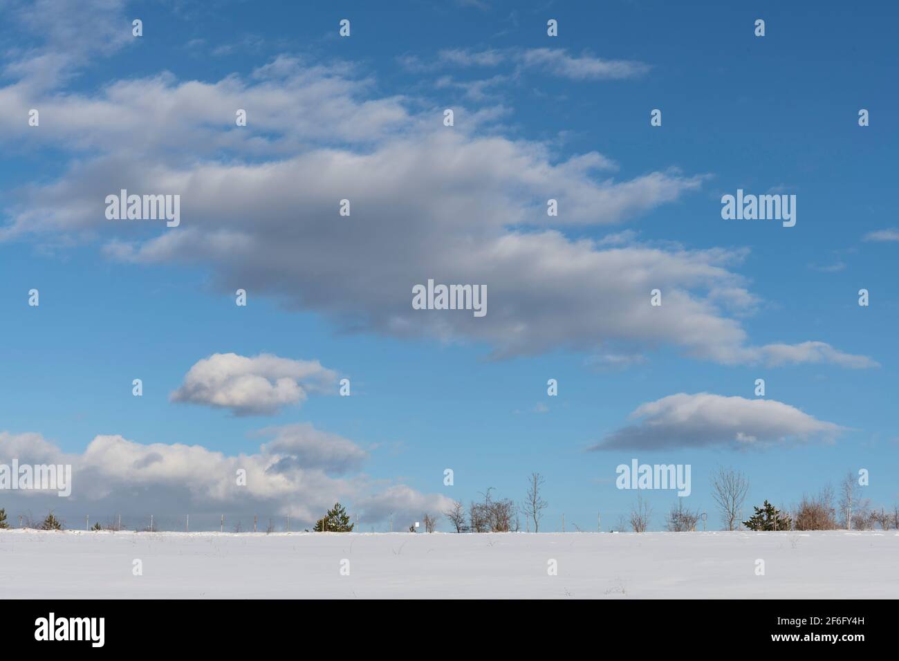 Wolkiger blauer Himmel über schneebedecktem Feld mit Baumstämmen Der Horizont Stockfoto