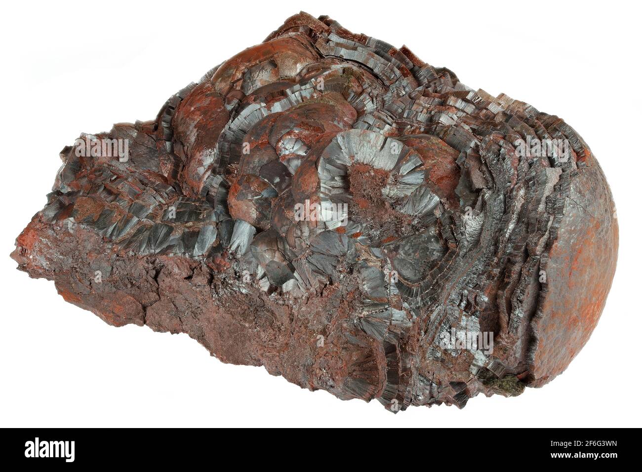 Hämatit (Niererz) aus der Florence Mine, Egremont, England isoliert auf weißem Hintergrund Stockfoto