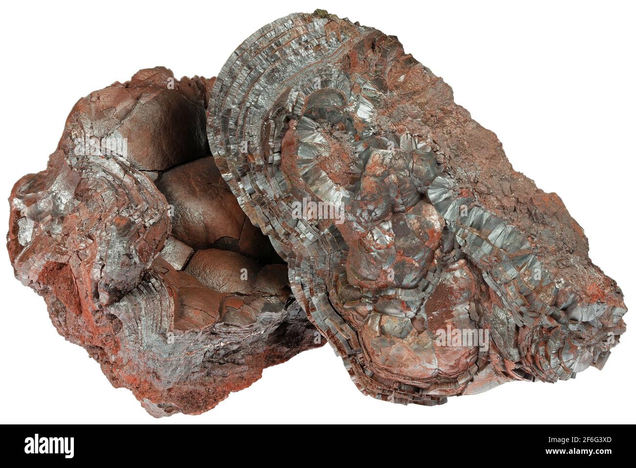 Hämatit (Niererz) aus der Florence Mine, Egremont, England isoliert auf weißem Hintergrund Stockfoto