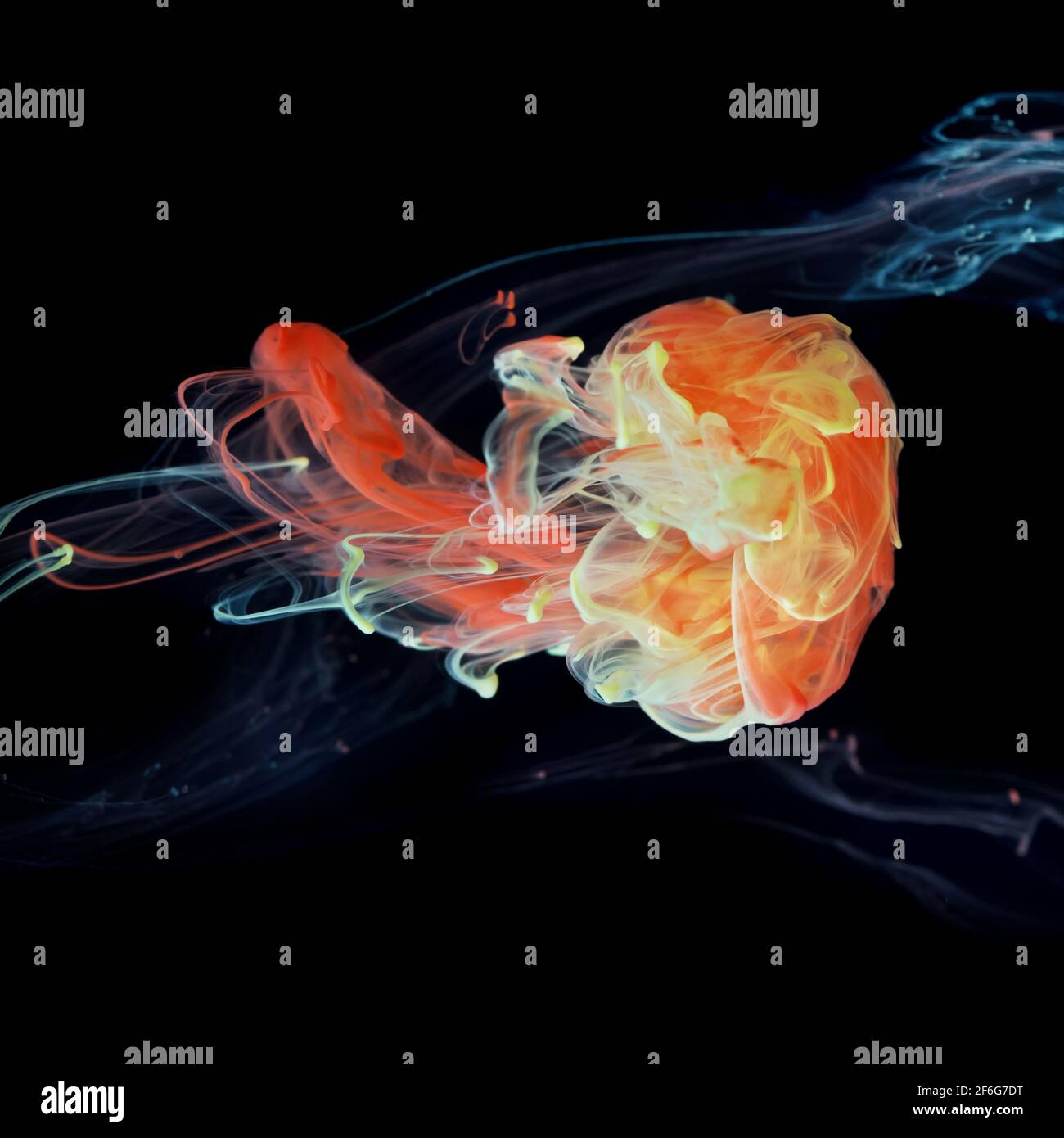 Rote und gelbe Farbtinte malen abstrakte Muster in Wasser Flüssigkeit Stockfoto