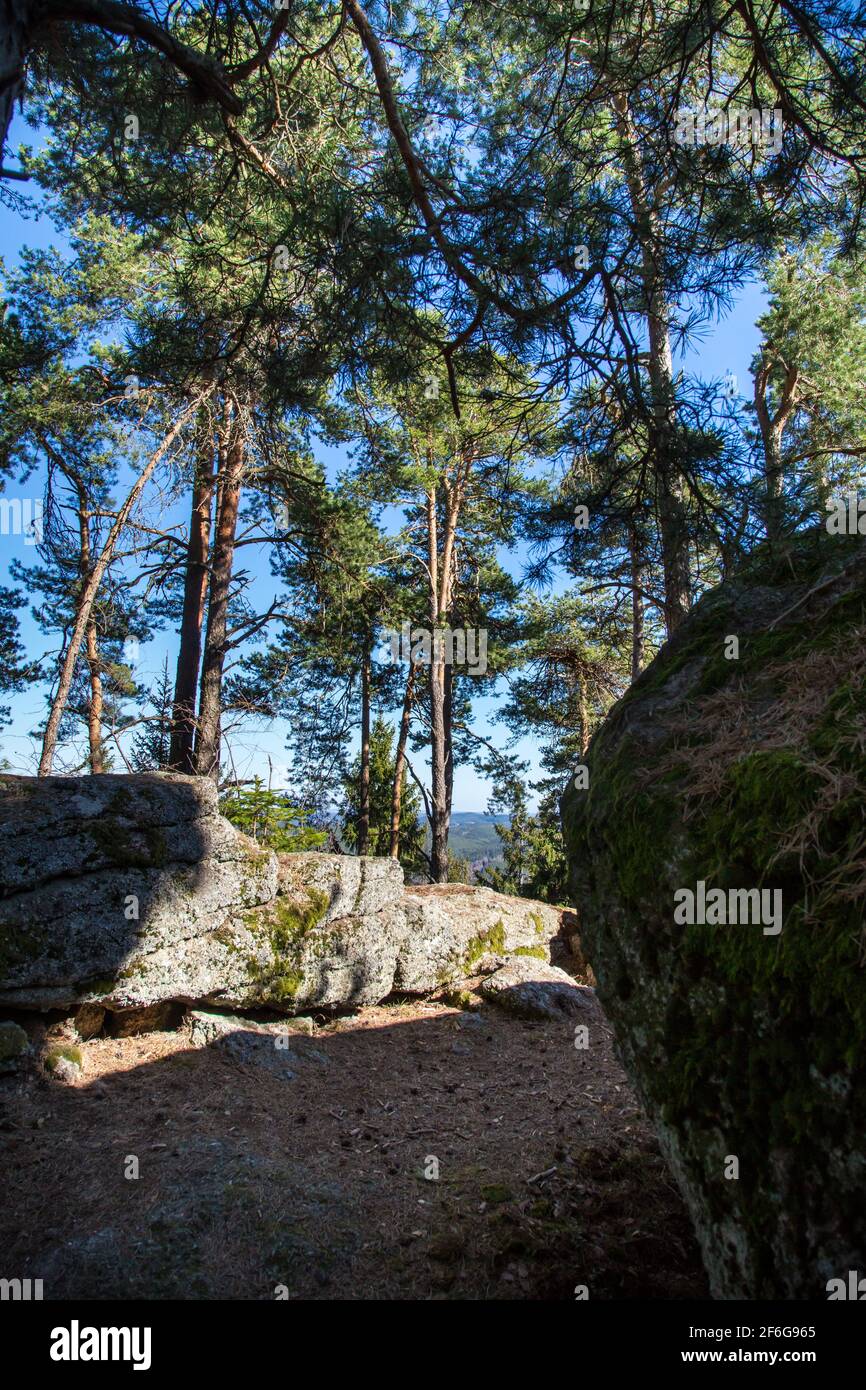 Steinformationen im Nordwald, Waldviertel, Österreich Stockfoto