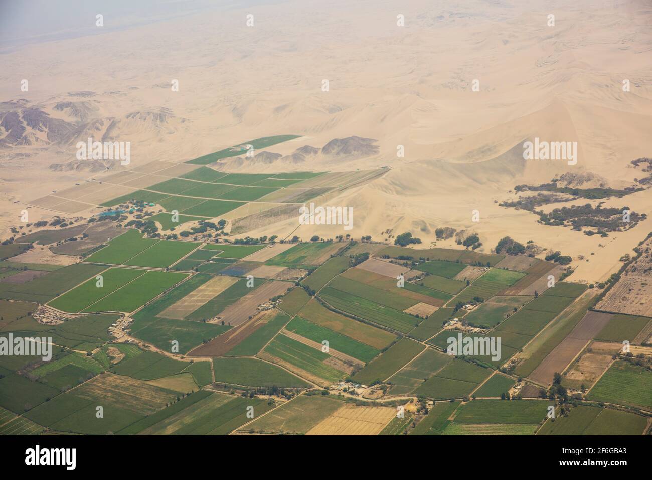 Landwirtschaft am Rande der Nazca-Wüste im Süden Peru Stockfoto