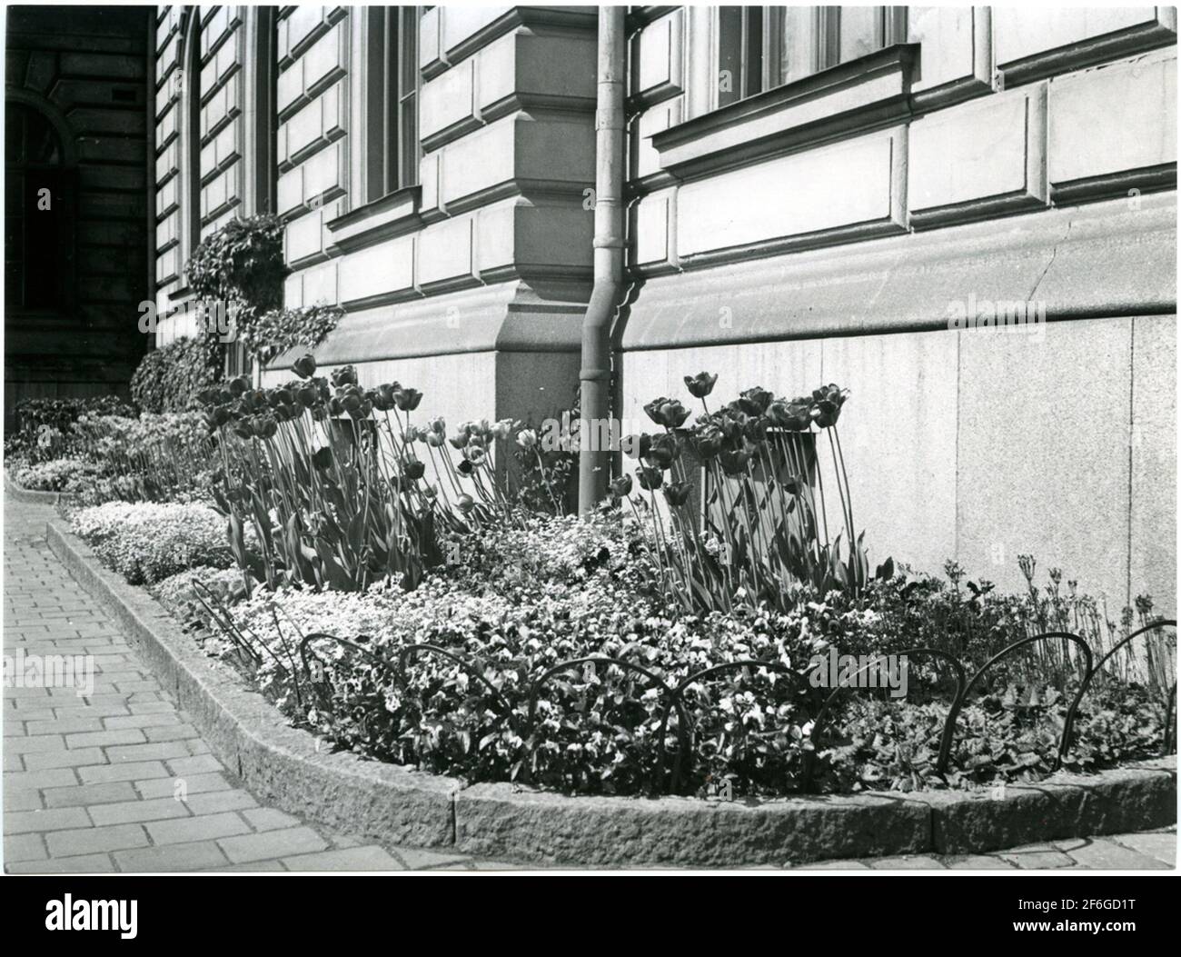 Bepflanzung am Stockholmer Hauptbahnhof. Stockfoto