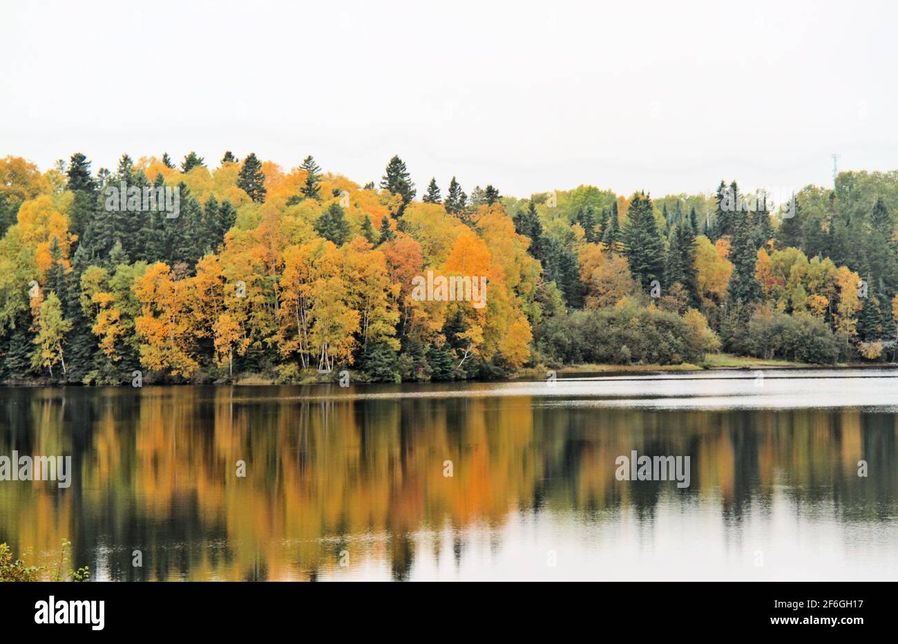 Wunderschöne, herbstfarbene Wälder am Boulevard Lake, da der See an einem teilweise sonnigen Tag die bunten Bäume widerspiegelt. Stockfoto