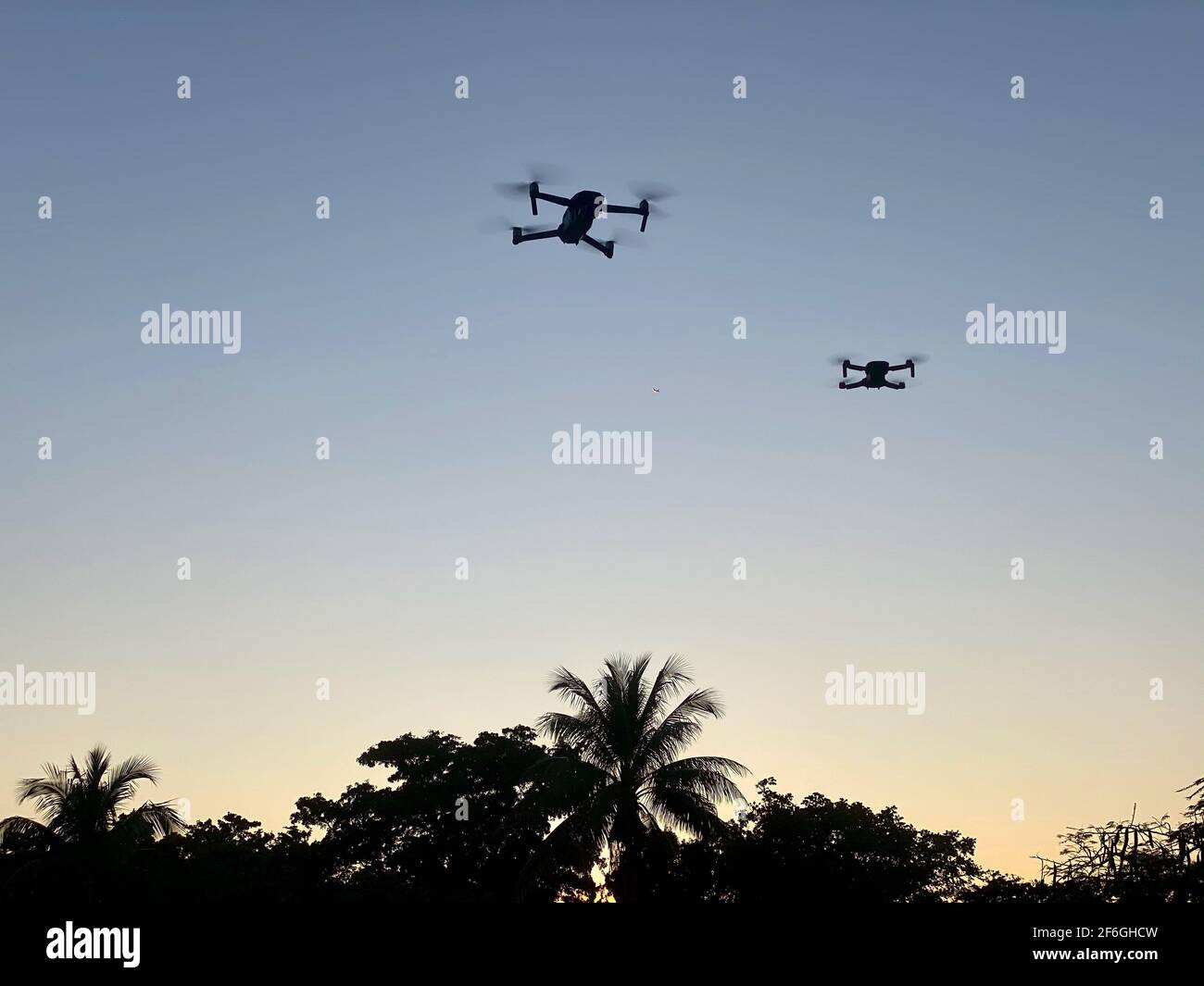 Zwei Drohnen am Himmel während eines Sonnenuntergangs mit Palmen Bäume Stockfoto