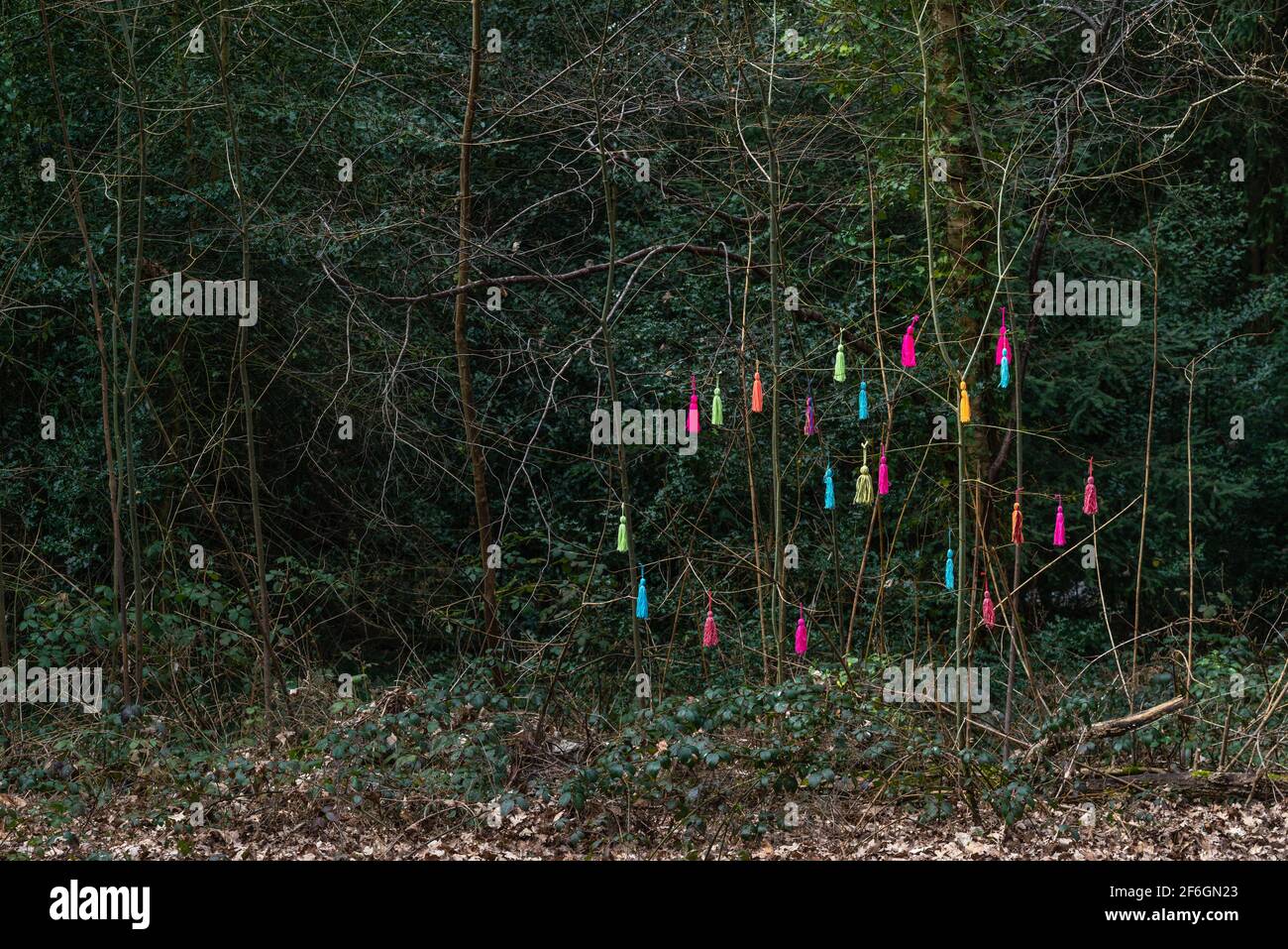 Bush / Strauch mit bunten Dekorationen bei Southampton Common im Frühling, Southampton, England, Großbritannien Stockfoto