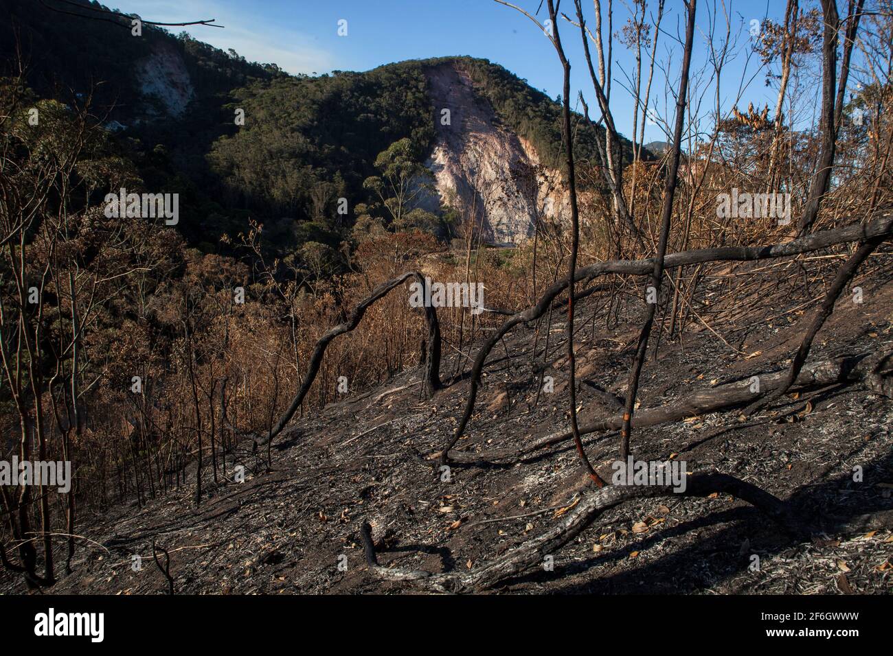 Doppelte Entwaldung - im Vordergrund die Landwirtschaft mit Brandrodung, eine Anbaumethode, bei der Pflanzen in einem Wald geschnitten und verbrannt werden, sowie Erdrutsch durch Regen und Erosion im Hintergrund. Nova Friburgo, Bundesstaat Rio de Janeiro, Brasilien. Stockfoto