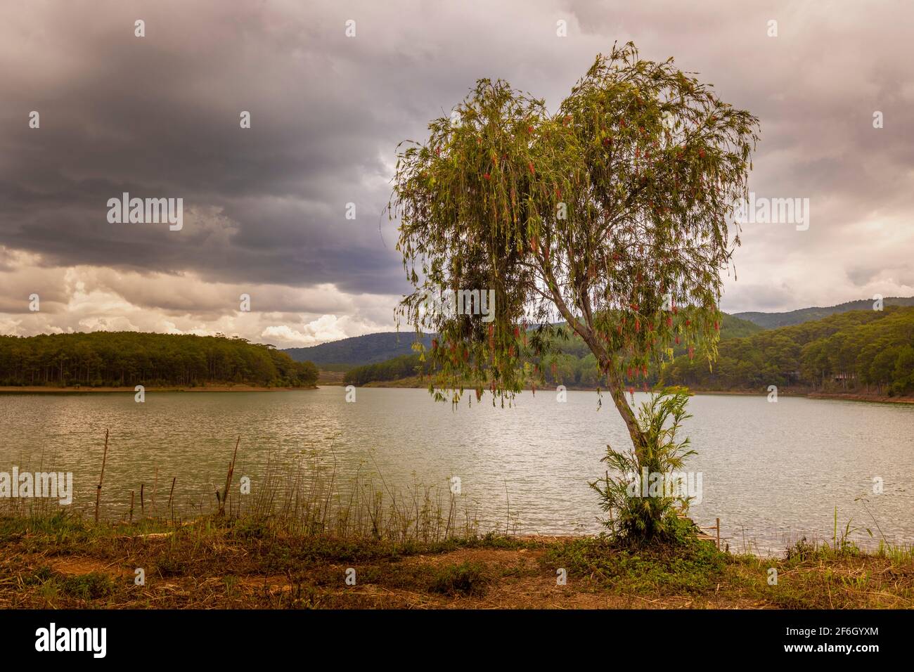 Toller Blick auf den Tuyen Lam See, Dalat, Vietnam Stockfoto