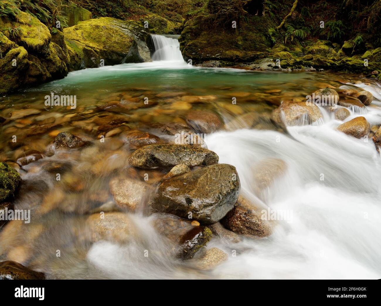 Big Creek fällt über die Teepee Falls und durch moosige Felsbrocken, Darrington, Skagit County, Washington, USA Stockfoto