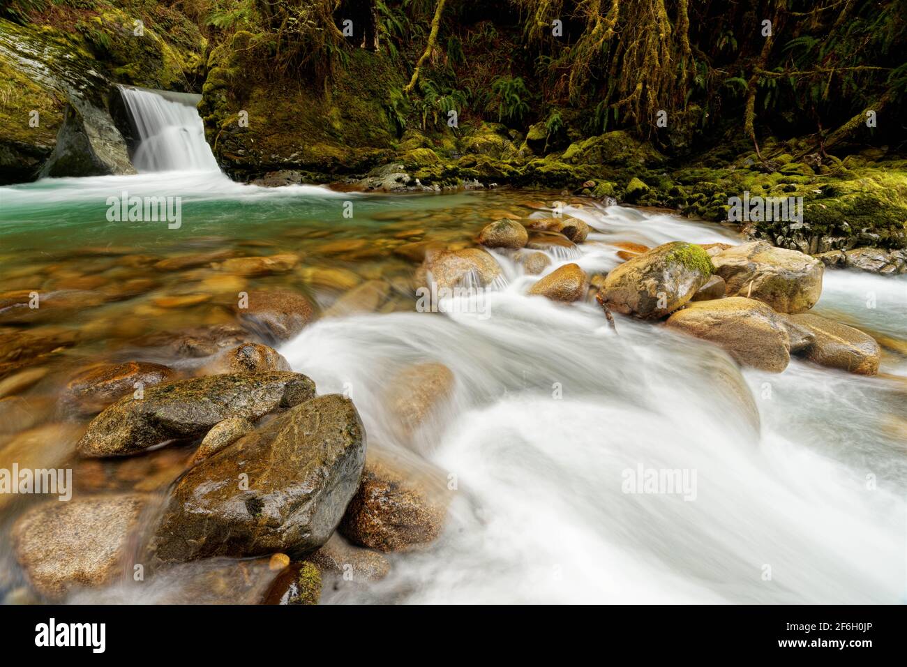 Big Creek fällt über die Teepee Falls und durch moosige Felsbrocken, Darrington, Skagit County, Washington, USA Stockfoto