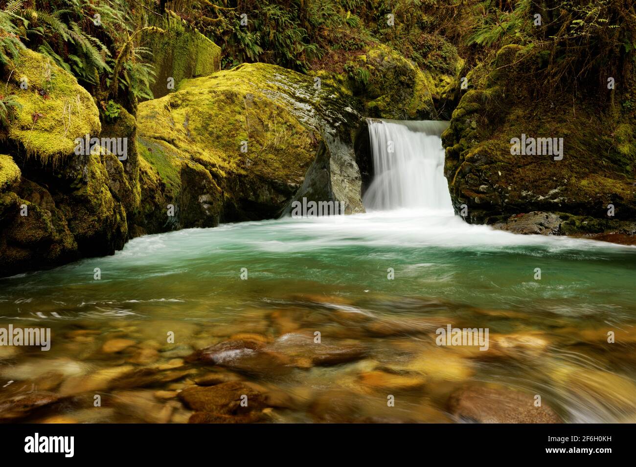 Big Creek fällt über die Teepee Falls und durch moosige Felsbrocken, Darrington, Skagit County, Washington, USA Stockfoto