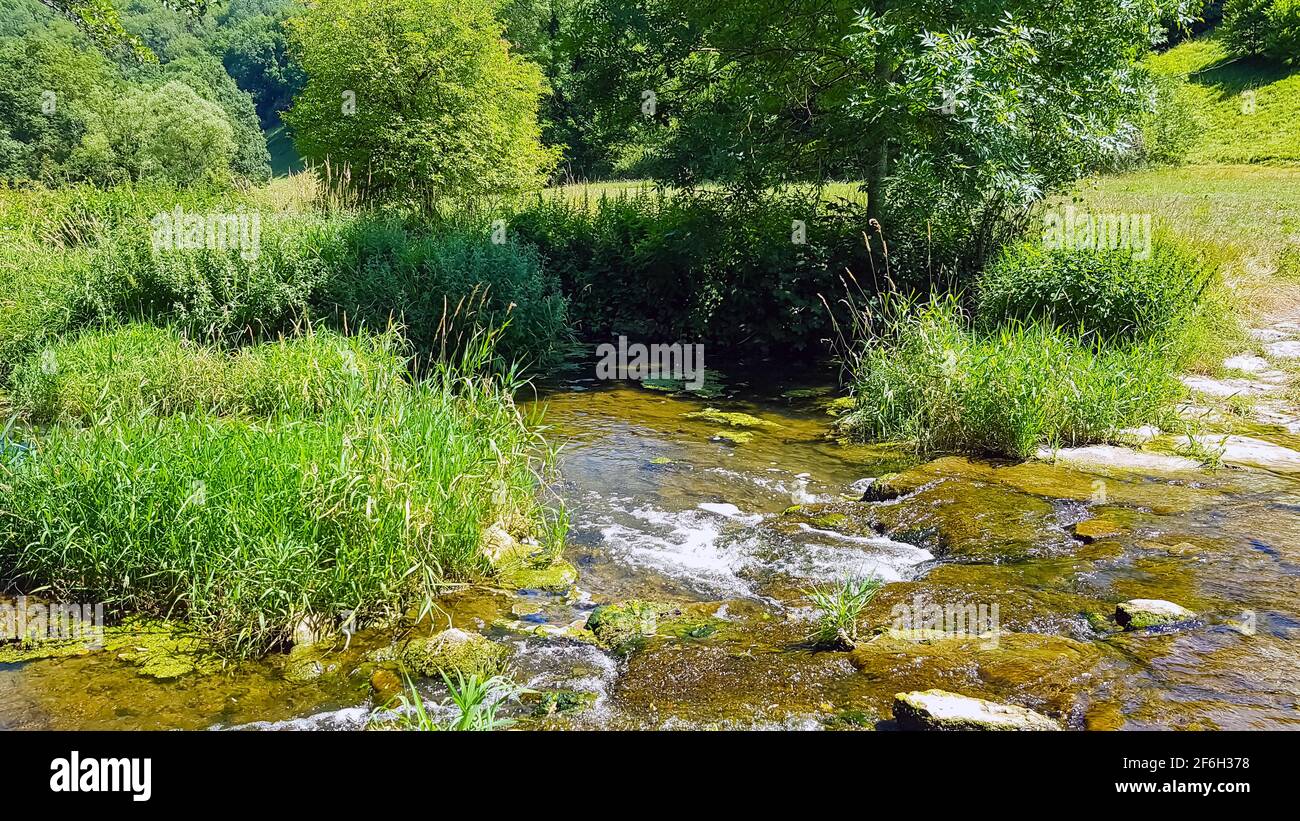 Aue Fluss Tauber ford Bach Natur üppig grün in der Sonnenschein Flachwasser Forellen Angeln Auenlandschaft Wildnis in der Nähe der natürlichen Umgebung Stockfoto