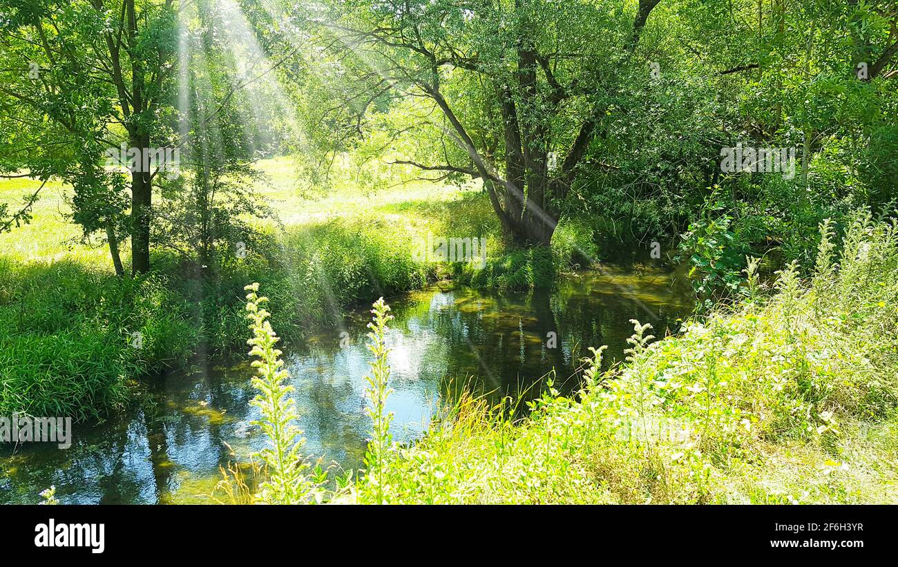 Aue Fluss Tauber ford Bach Natur üppig grün in der Sonnenschein Flachwasser Forellen Angeln Auenlandschaft Wildnis in der Nähe der natürlichen Umgebung Stockfoto