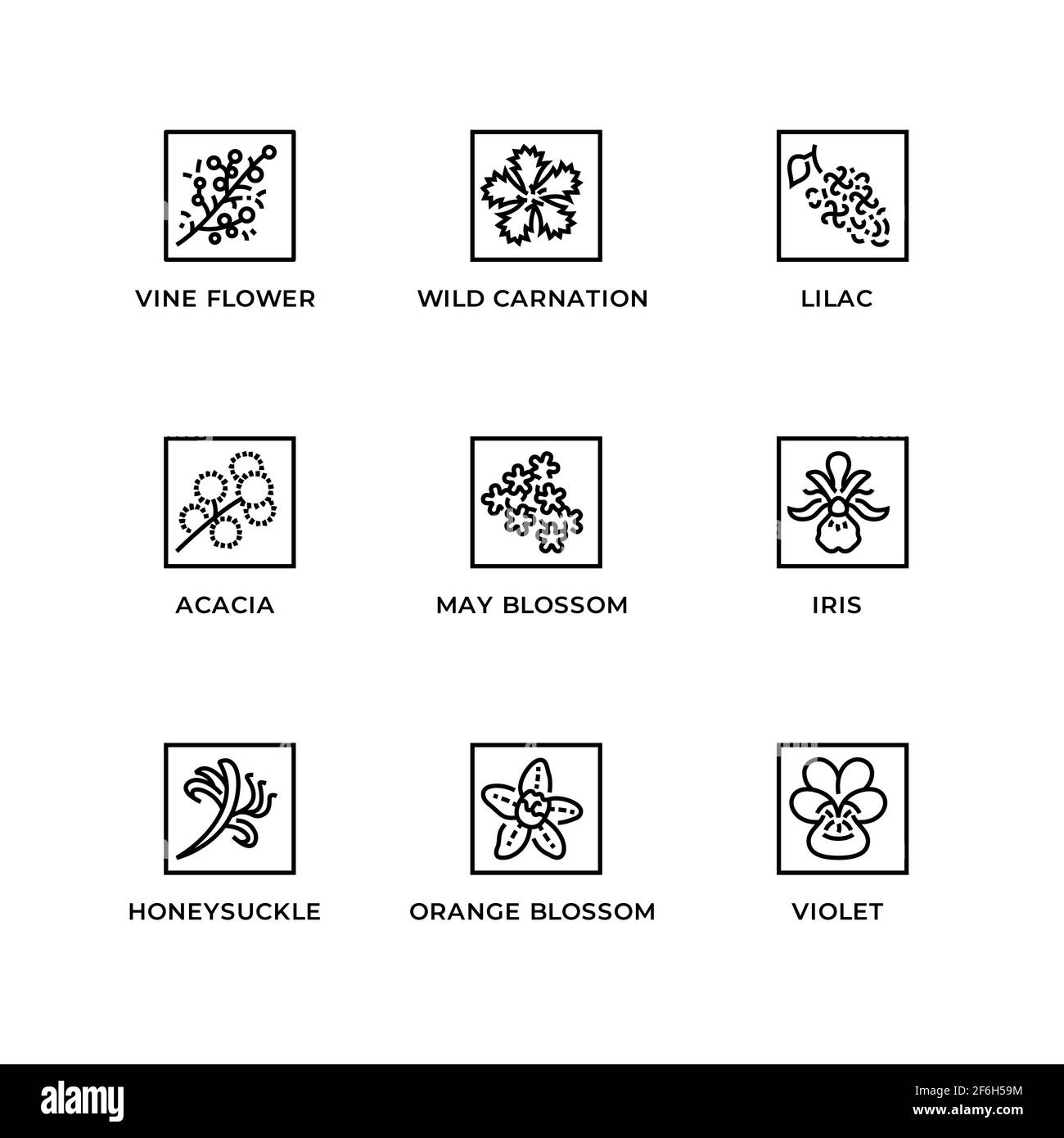 Vektor-Set von Design-Elementen, Logo-Design-Vorlage, Icons und Abzeichen für Kräuter und Pflanzen. Liniensymbole gesetzt, editierbare Kontur. Stock Vektor