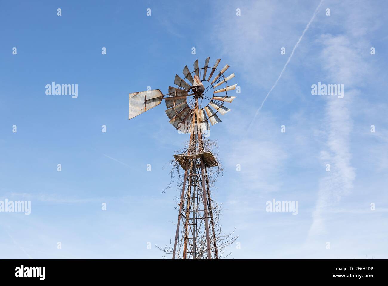 Aermotor Windpumpe auf einer Iowa Farm Stockfoto