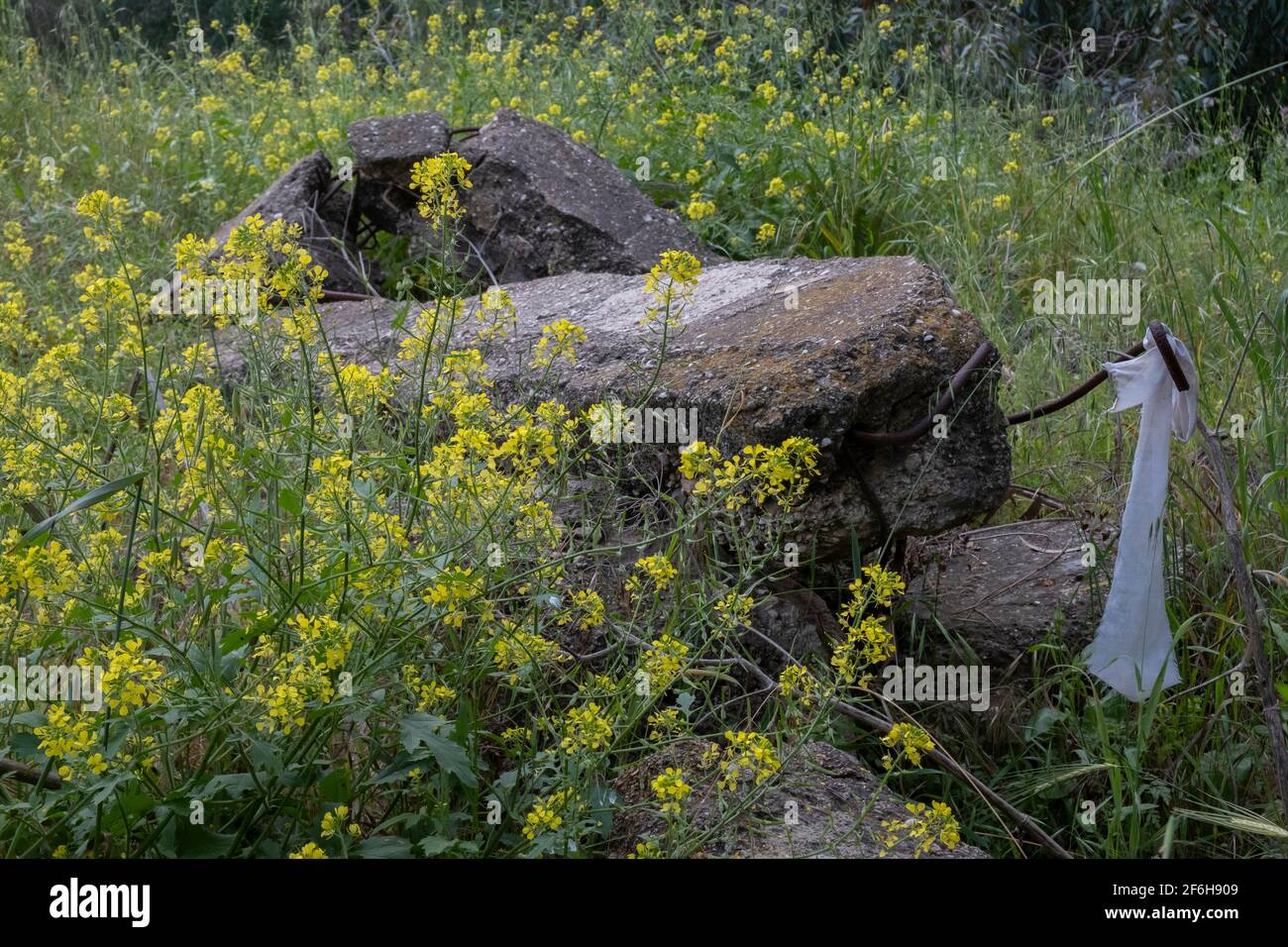 Ruinen einer Moschee des entvölkerten palästinensischen Dorfes al-Falluja, die 1948 zerstört wurde, auf dessen Ruinen der Plugot-Nationalpark im südlichen Teil Israels errichtet wurde. Stockfoto