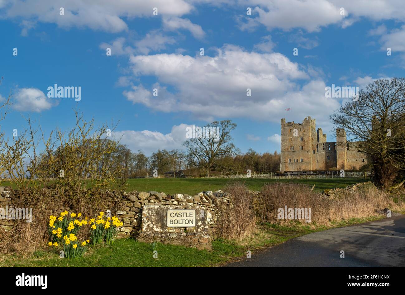 Castle Bolton, North Yorkshire, Großbritannien. März 30, 2021. Bolton Castle im Frühling mit gelben Narzissen. Castle Bolton, Wensleydale, Yorkshire Dales Stockfoto