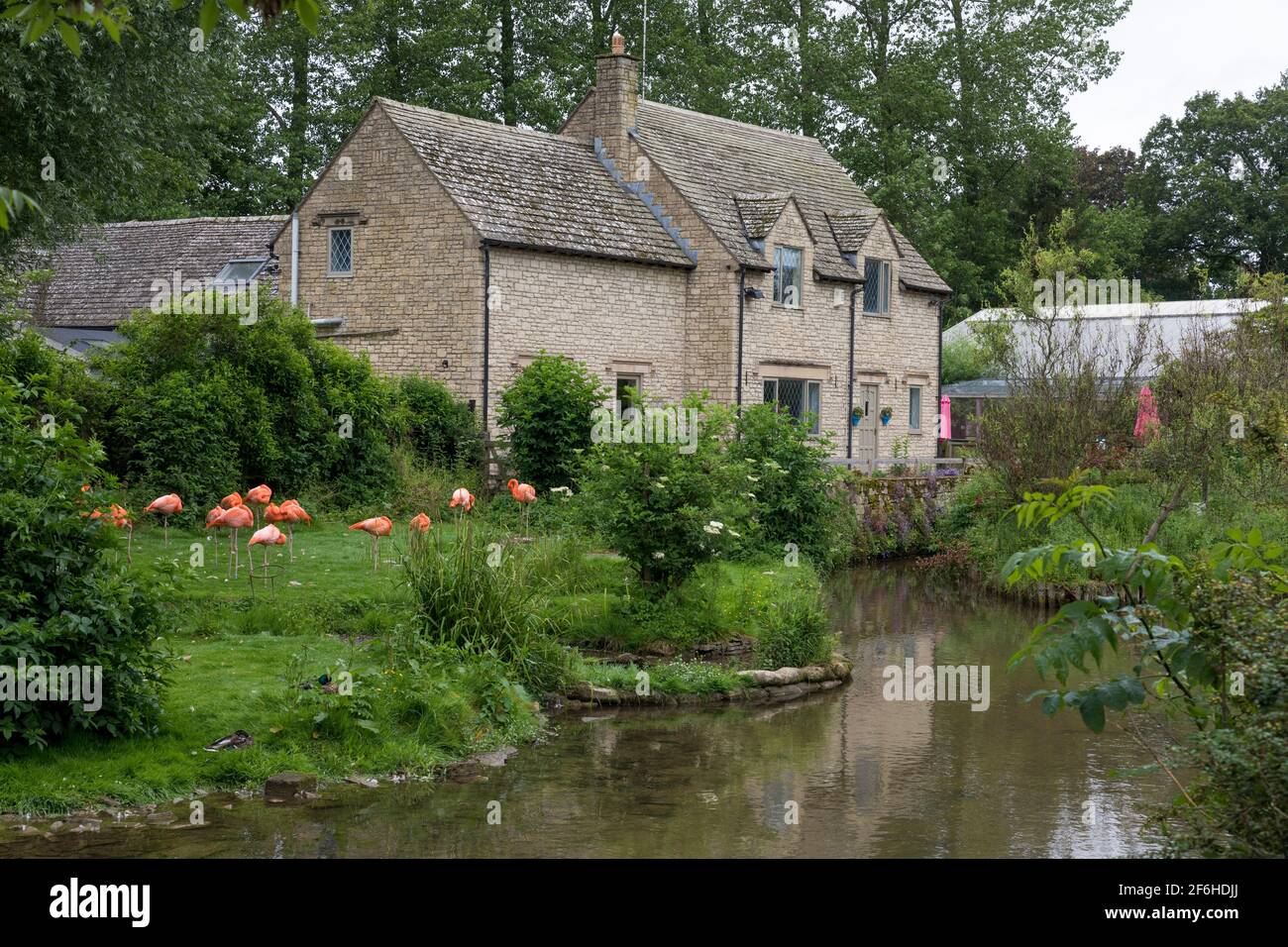 Cotswolds; Birdland; Großbritannien Stockfoto