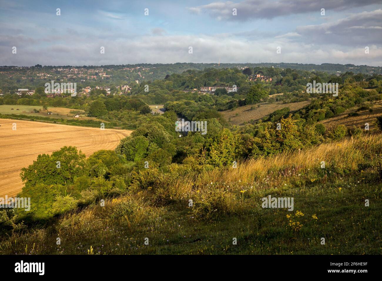 Magdalen Hill Down; Blick auf Winchester; Hampshire; Großbritannien Stockfoto