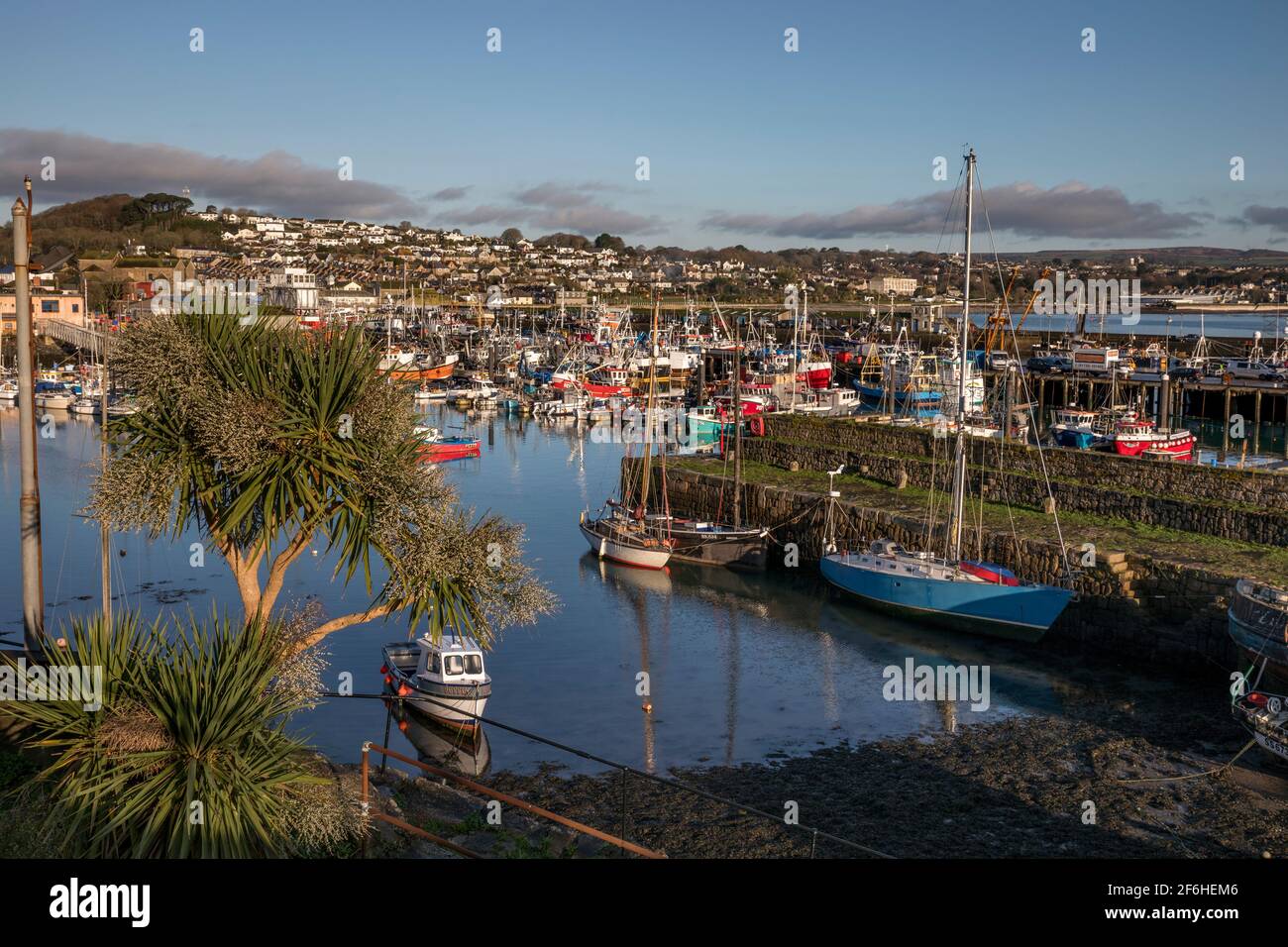 Newlyn Hafen; Fischerboote; Cornwall; Großbritannien Stockfoto