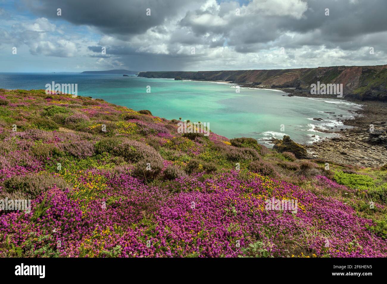 North Cliffs; in der Nähe von Hell's Mouth; Cornwall; Großbritannien Stockfoto