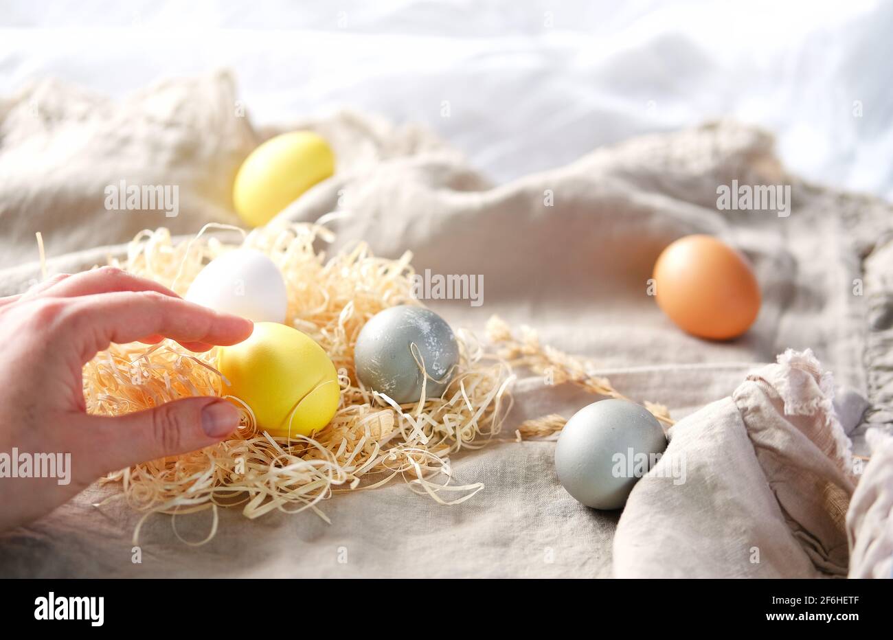 Hand halten Bio natürlich gefärbte gelbe und graue Ostereier. Stockfoto