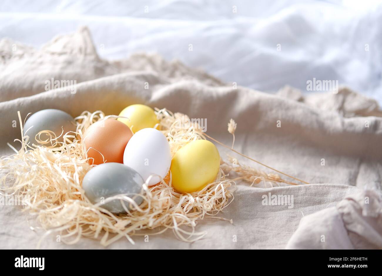 Bio natürlich gefärbte gelbe und graue Ostereier. Stockfoto