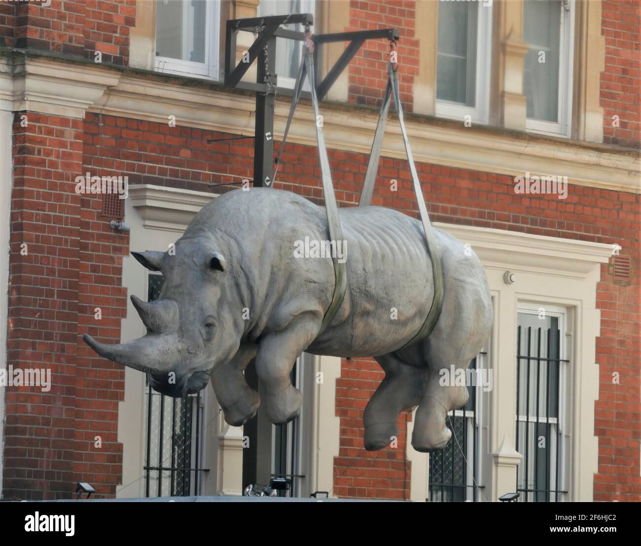 Rhino-Skulptur des italienischen Künstlers Stefano Bombardieri über hochwertigen Juwelieren, Samer Halimeh Boutique in 161 Knighsbridge Stockfoto