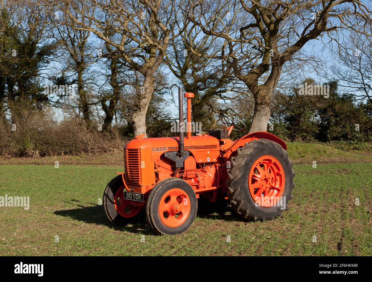 Ein Oldtimer-Traktor auf einem Feld, das mit Mais gebohrt wurde Im Frühling Stockfoto