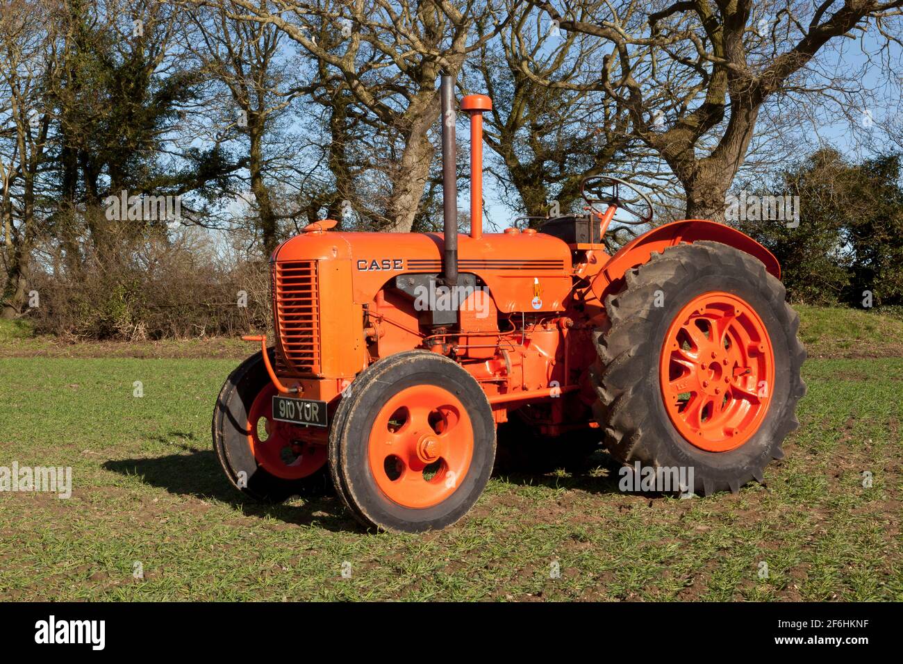 Ein Oldtimer-Traktor auf einem Feld, das mit Mais gebohrt wurde Im Frühling Stockfoto