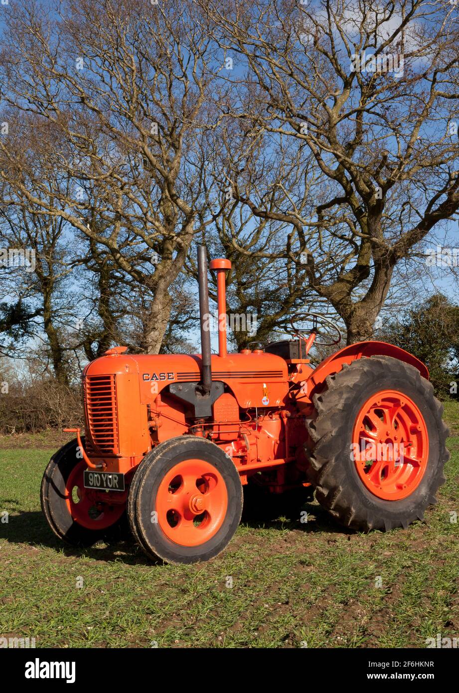 Ein Oldtimer-Traktor auf einem Feld, das mit Mais gebohrt wurde Im Frühling Stockfoto
