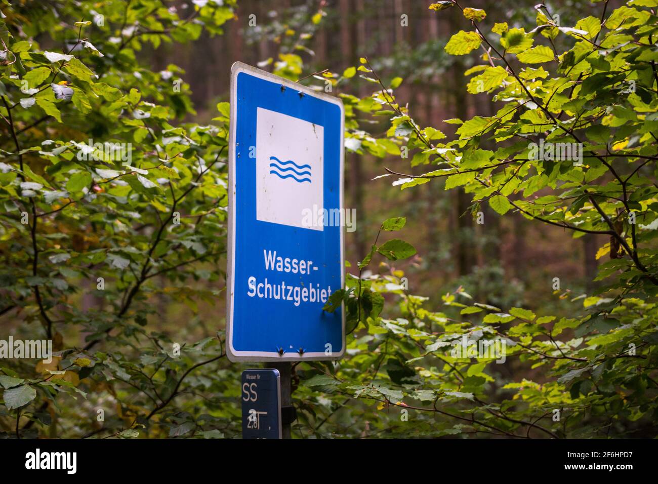 Zeichen der englischen Übersetzung des Wasserschutzgebiets ist das Wasserreservat in einem deutschen Wald. Bereich, um die Reinheit des lokalen Wassers zu schützen und zu sichern Stockfoto