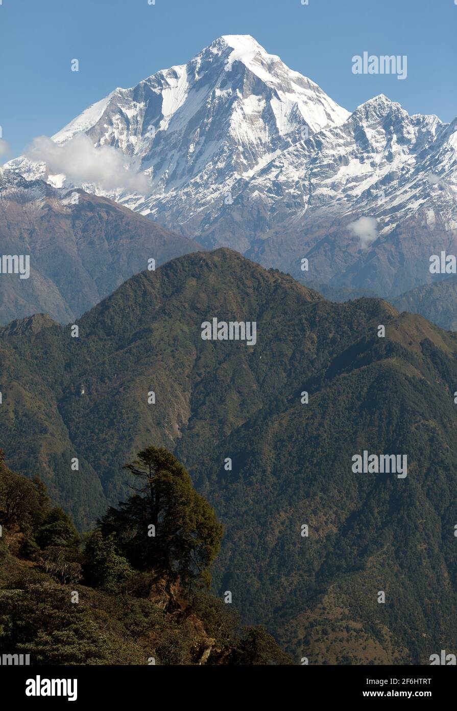 Blick auf Mount Dhaulagiri - Nepal Stockfoto