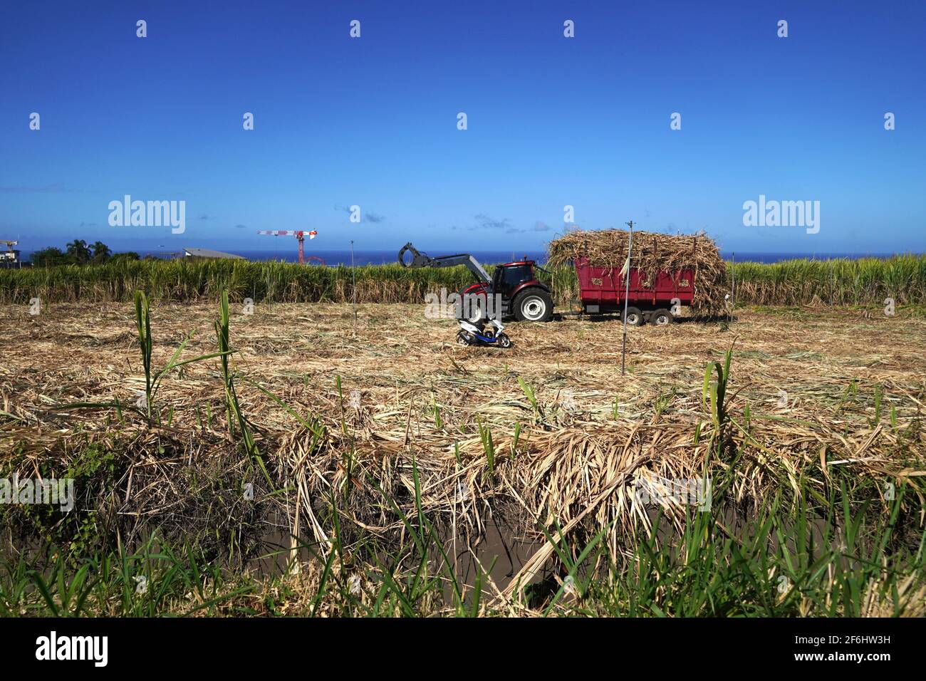 Reunion Island, Saint-Pierre, 2020/09/29: Mechanisierte Zuckerrohrernte in der Stadt Ligne Paradis. Traktor und beladener Anhänger in der Mitte eines Stockfoto