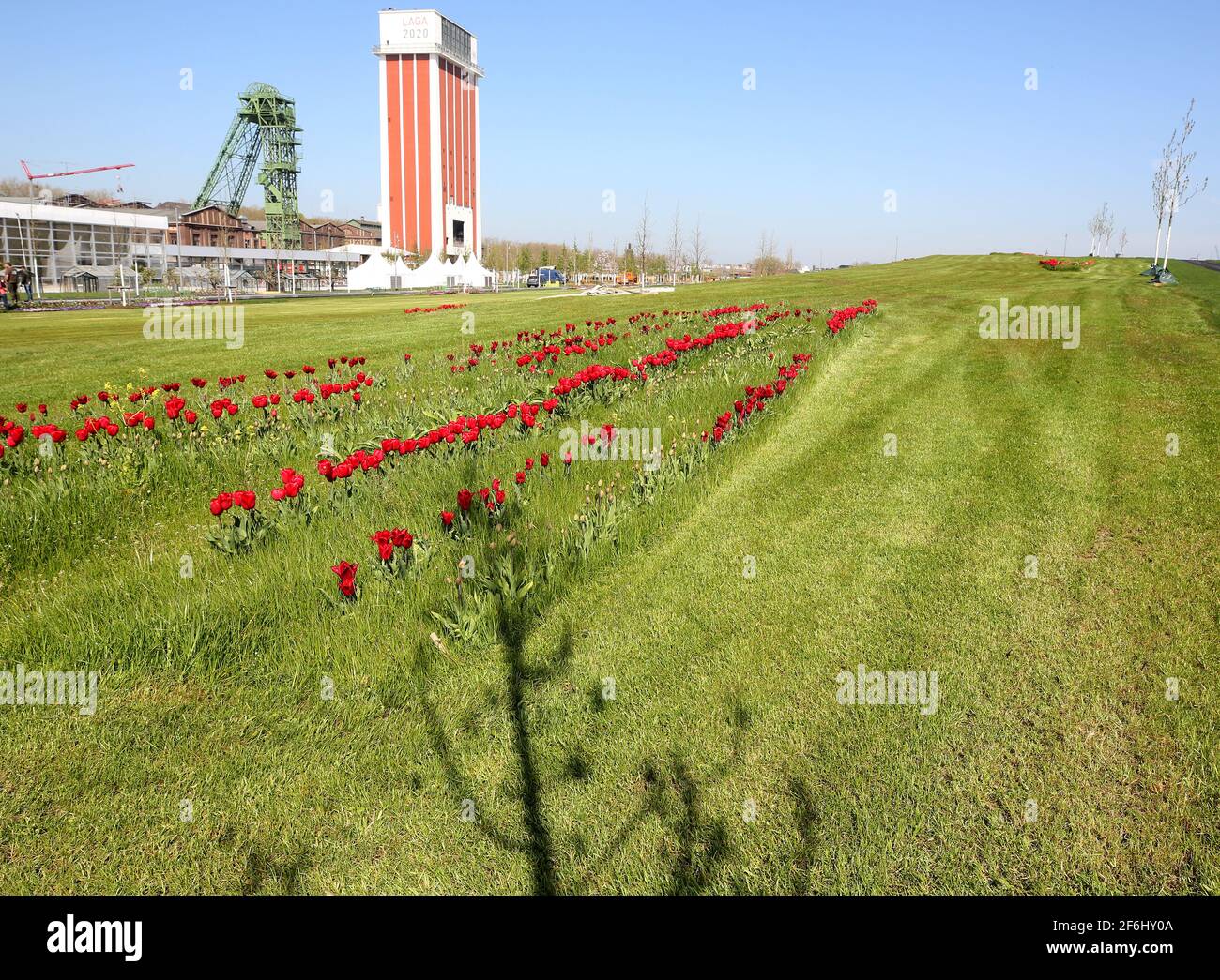 15. April 2020, NordrheinWestfalen, KampLintfort Blumen blühen vor