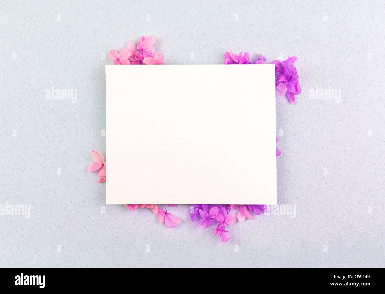 Blumeneinladungsmockup mit leerer Einladung oder Grußkarte, frühlingshafte und frische Komposition, flacher Lay und Draufsicht Stockfoto
