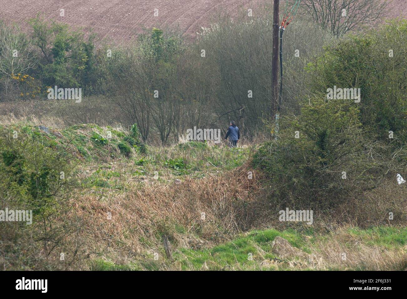 Cork, Irland, 1. April 2021 Gardai untersucht nach der Entdeckung von zwei Waffen im Graben durch Member of the Public, Cork, Irland. Ein Mitglied der Hundeeinheit der südlichen Region, die die Umgebung durchsucht. Gestern Abend erhielt der Gardaí einen Bericht von einem Mitglied der Öffentlichkeit, dass zwei Handfeuerwaffen in einem Graben an der Ballycollie Road, Whites Cross, entdeckt wurden. Die Straße, die vor Ort als „Long Lane“ bekannt ist, ist ein beliebter Ort für Hundewanderer und Fußgänger. Beide Geschütze wurden in einem Graben in der Nähe eines großen Wohnprojekts entdeckt, das in der Gegend gebaut wird. Eine Suche wird gerade durchgeführt Stockfoto