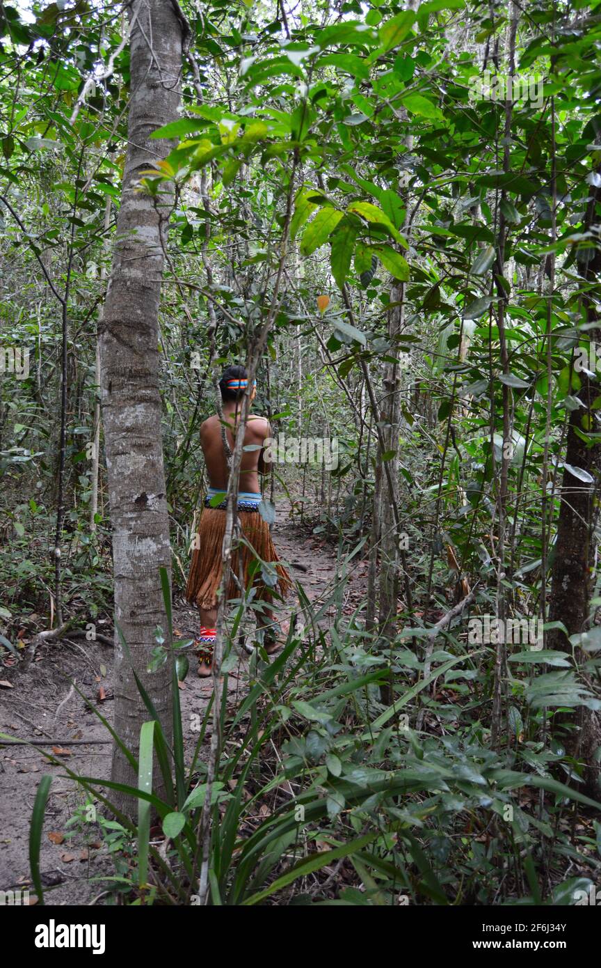 Brasilianische Ureinwohner Stockfoto