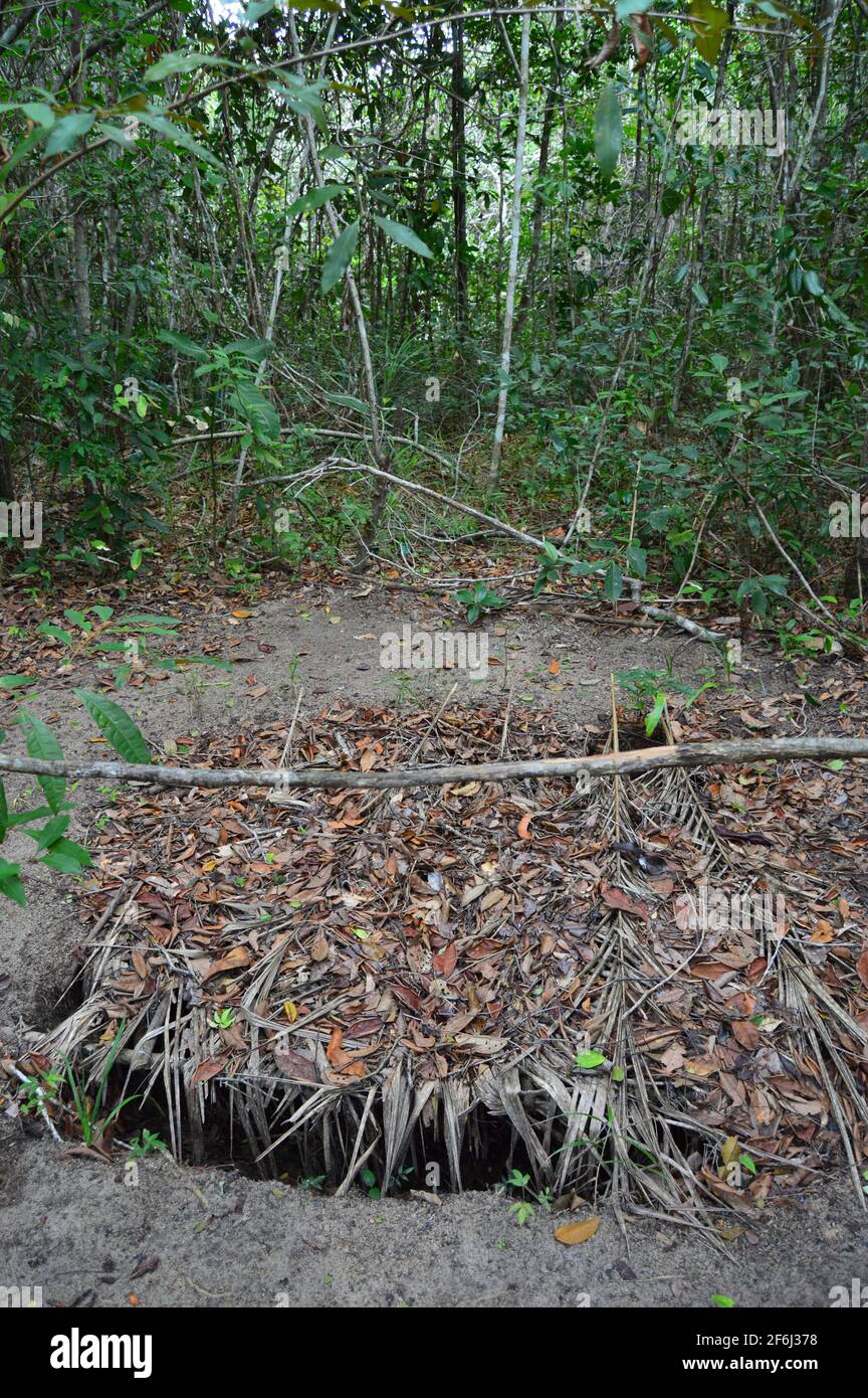 Tierfalle der brasilianischen Ureinwohner Stockfoto
