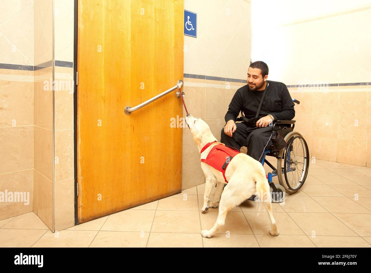 Mann im Rollstuhl mit Hilfe eines ausgebildeten Hundes Im Badezimmer eines Supermarkts Stockfoto