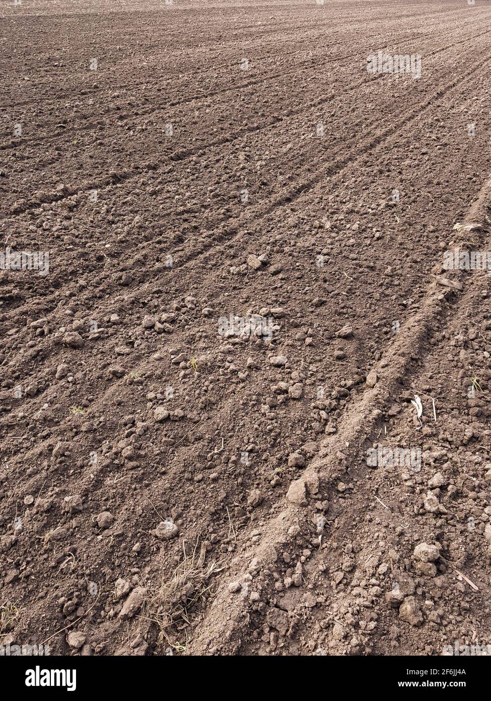 Ackerland. Vorbereitung des Feldes für die Pflanzung. Gepflügte Erde im Frühling. Landwirtschaftliche Arbeit. Stockfoto